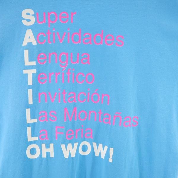 SCREEN STARS BEST スクリーンスターズベスト 90s USA製 オールド バックプリント 半袖 Tシャツ XL ブルー系 メンズ