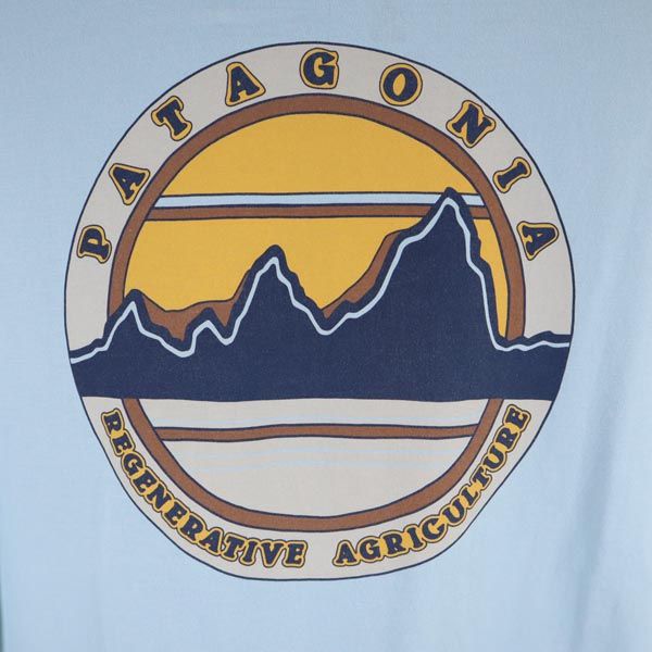 patagonia パタゴニア アウトドア バックプリント 半袖 Tシャツ XS 水色 メンズ
