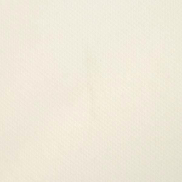 BEAMS ビームス 日本製 ゴルフ ノースリーブ ポロシャツ M 白 鹿の子 レディース