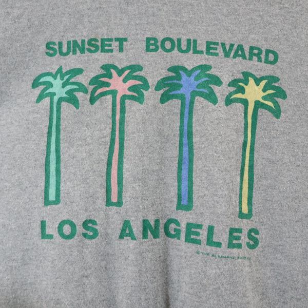 Hanes ヘインズ 80s 90s オールド プリント 半袖 Tシャツ L グレー系 メンズ