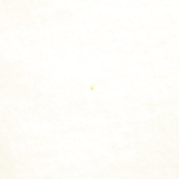 C.E シーイー 日本製 プリント 半袖 Tシャツ S 白系 メンズ