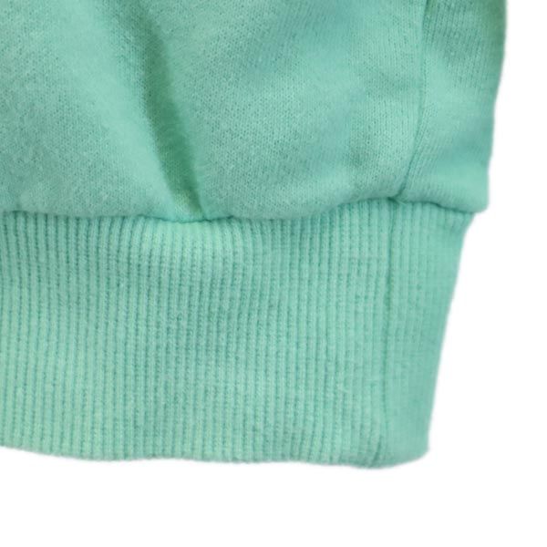 STUSSY ステューシー 日本製 プリント 長袖 スウェット トレーナー S 緑系 レディース