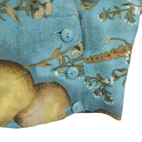 Aquascutum アクアスキュータム 総柄 梨 長袖 ブラウス ブルー系 シャツ レディース