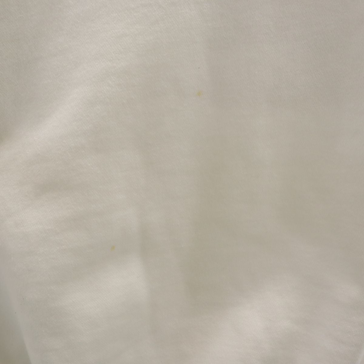 Champion チャンピオン 長袖 スウェット トレーナー M ホワイト 裏起毛 メンズ