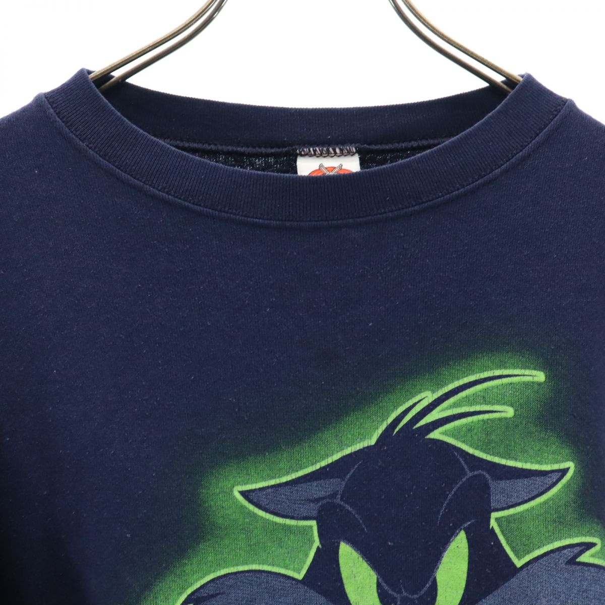 LOONEY TUNES ルーニーテューンズ 90s オールド ワーナーブラザーズ 長袖 トレーナー ネイビー スウェット 裏起毛 シルベスター トゥイーティー レディース