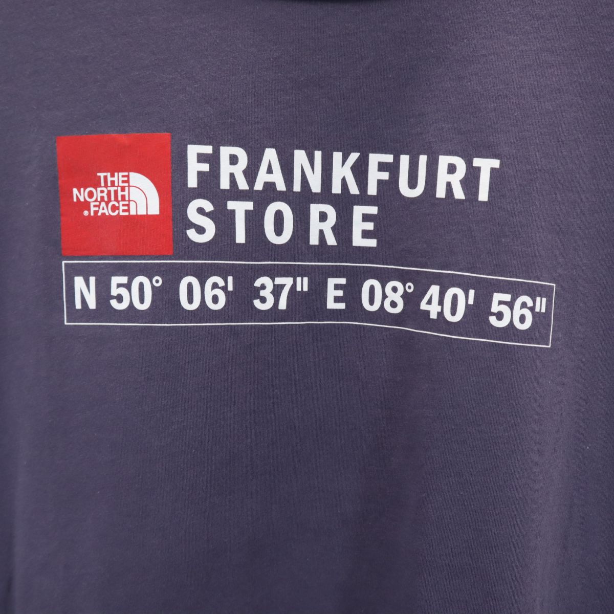 THE NORTH FACE ザノースフェイス プリント 半袖 アウトドア Tシャツ L ネイビー系 レディース