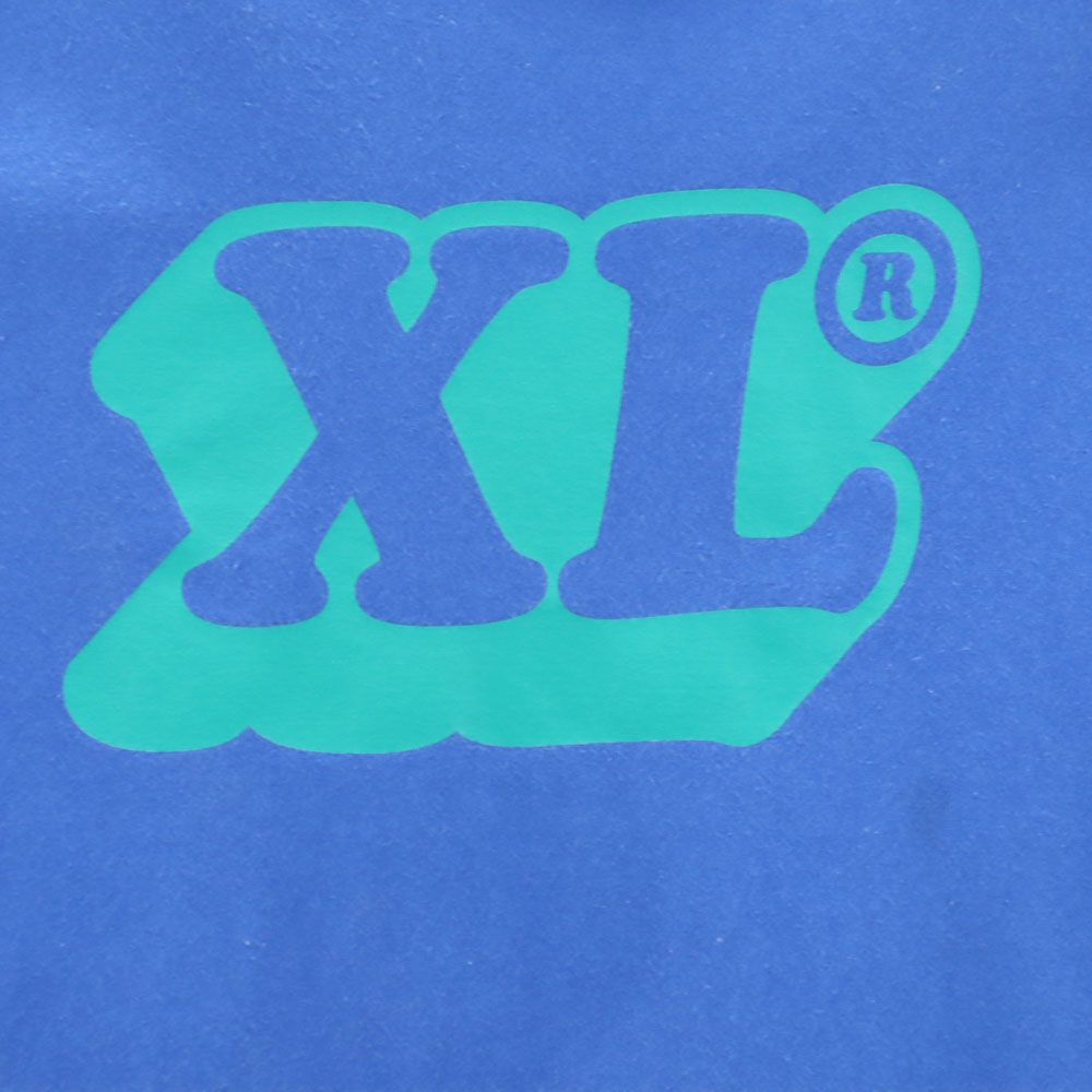 XLARGE エクストララージ プリント 半袖 Tシャツ M ブルー系 メンズ