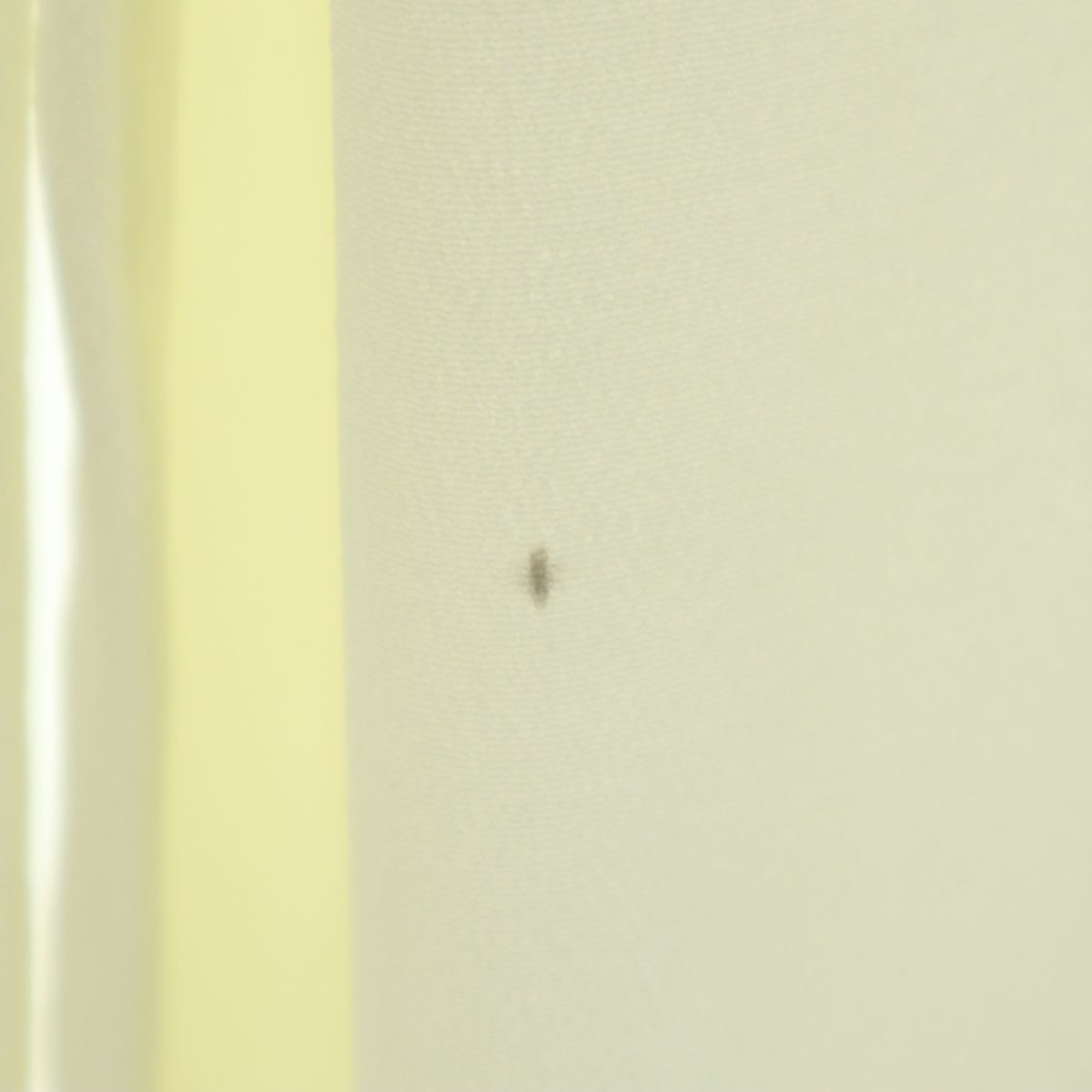 THE LIMITED ザリミテッド 90s 00s USA製 オールド ワイドパンツ S ホワイト系 レディース