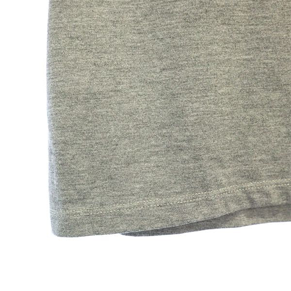 ザノースフェイス NT81980Z アウトドア プリント 半袖 Tシャツ M グレー THE NORTH FACE メンズ