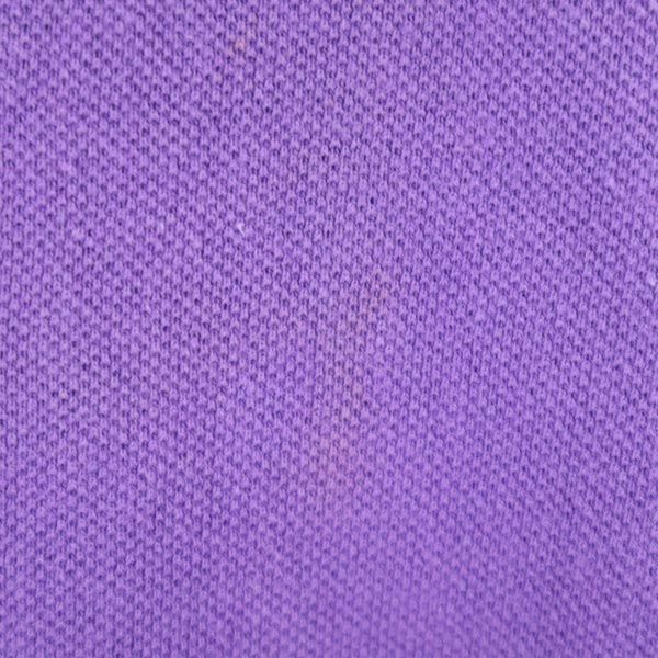 Polo by Ralph Lauren ポロバイラルフローレン ロゴ刺繍 長袖 ポロシャツ M 紫 鹿の子 メンズ