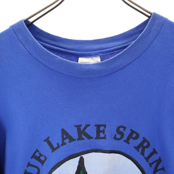 Hanes ヘインズ 90s オールド USA製 半袖 Tシャツ L42-44 ブルー系 メンズ