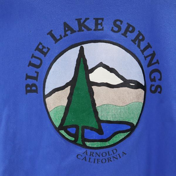 Hanes ヘインズ 90s オールド USA製 半袖 Tシャツ L42-44 ブルー系 メンズ