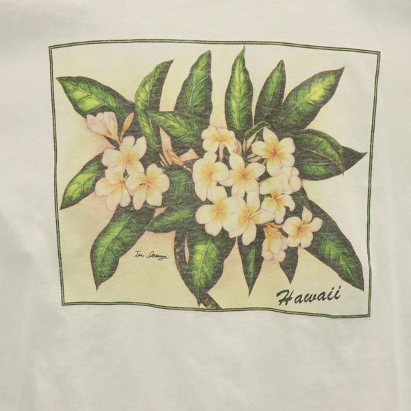 anbil アンビル 90s オールド USA製 半袖 Tシャツ XL ホワイト系 Hawaii メンズ