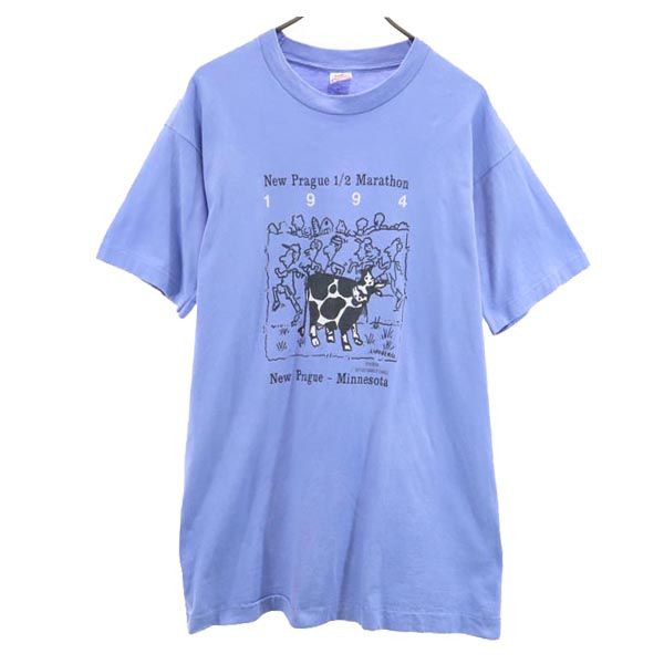 FRUIT OF THE LOOM フルーツオブザルーム 90s オールド USA製 半袖 Tシャツ L ブルー系 メンズ