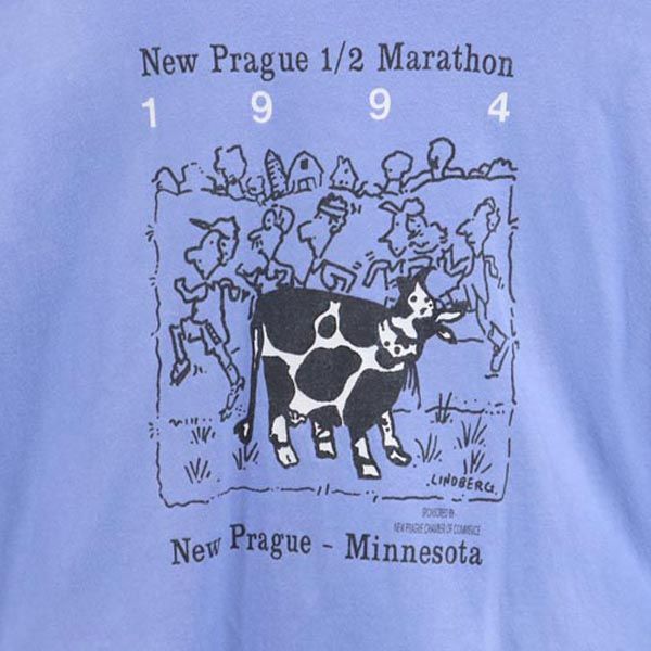FRUIT OF THE LOOM フルーツオブザルーム 90s オールド USA製 半袖 Tシャツ L ブルー系 メンズ