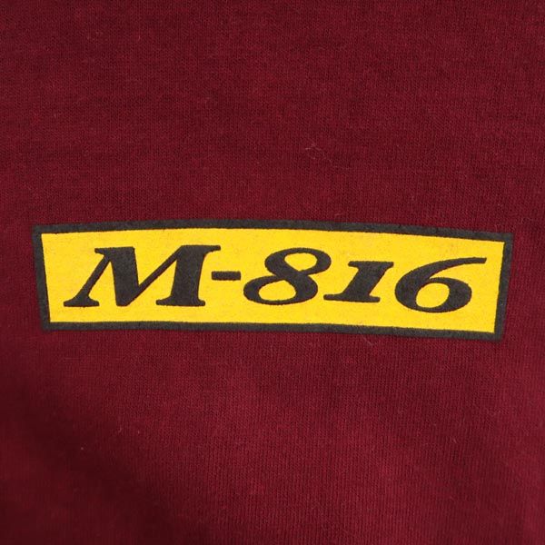 FRUIT OF THE LOOM フルーツオブザルーム バックプリント 半袖 Tシャツ M ボルドー系 YASUHIRO YAMANE 山根康広 メンズ