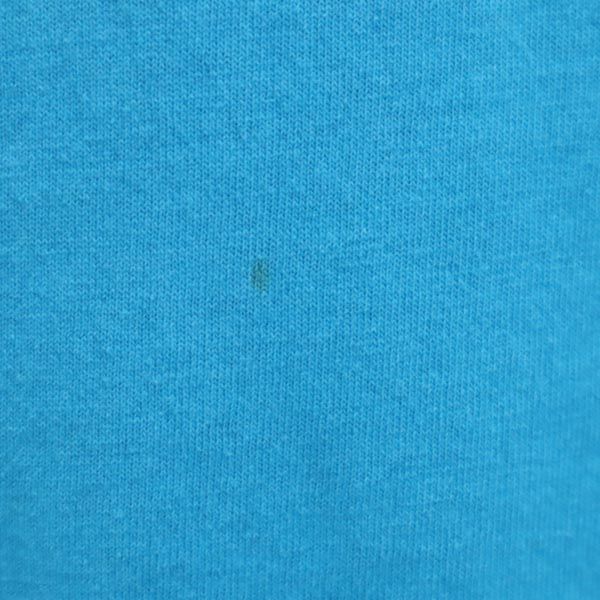 Hanes ヘインズ 90s オールド USA製 プリーツプリーズ 半袖 Tシャツ L ブルー系 メンズ