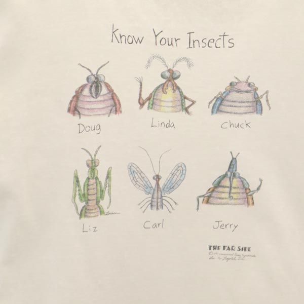 ファーサイド 90s オールド USA製 プリント 半袖 Tシャツ XL 白 THE FAR SIDE メンズ