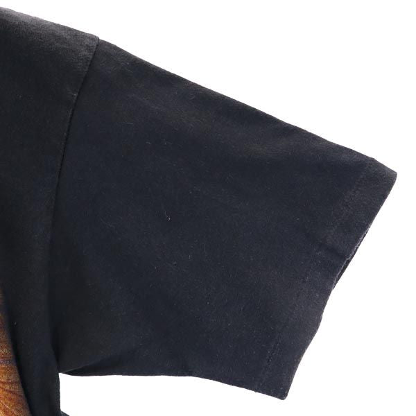 TENNESSEE RIVER テネシーリバー 90s オールド USA製 ライオン柄 プリント 半袖 Tシャツ M ブラック系 メンズ