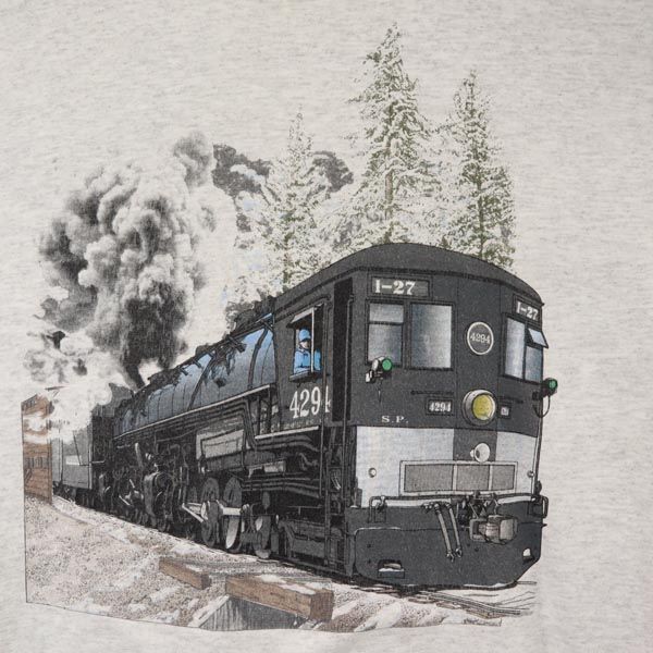 GILDAN ギルダン プリント 半袖 Tシャツ M グレー系 メンズ