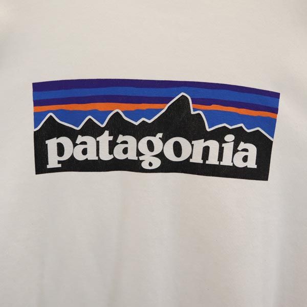パタゴニア バックプリント 長袖 スウェット トレーナー ホワイト系 patagonia メンズ