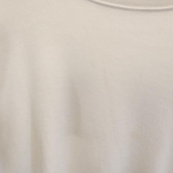 パタゴニア バックプリント 長袖 スウェット トレーナー ホワイト系 patagonia メンズ