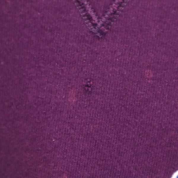 Champion チャンピオン 90s USA製 オールド 長袖 トレーナー L パープル系 裏起毛 メンズ