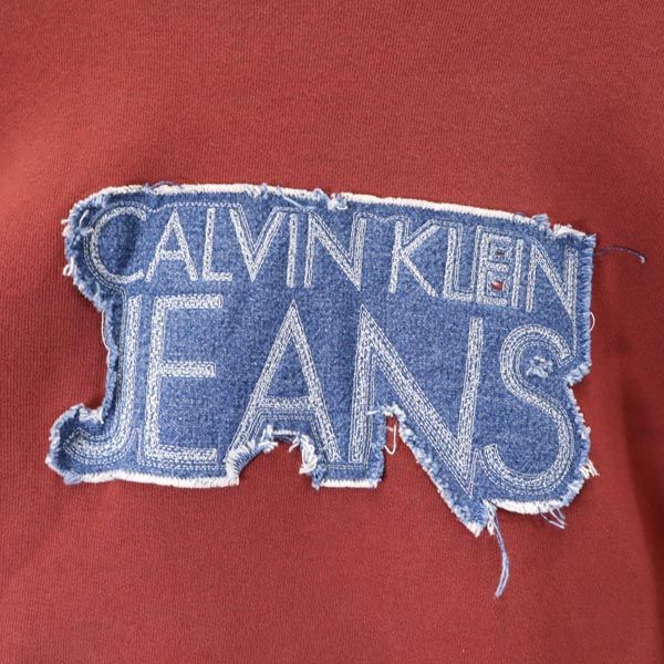 Calvin klein Jeans カルバンクラインジーンズ 長袖 裏起毛 トレーナー S ブラウン系 スウェット メンズ