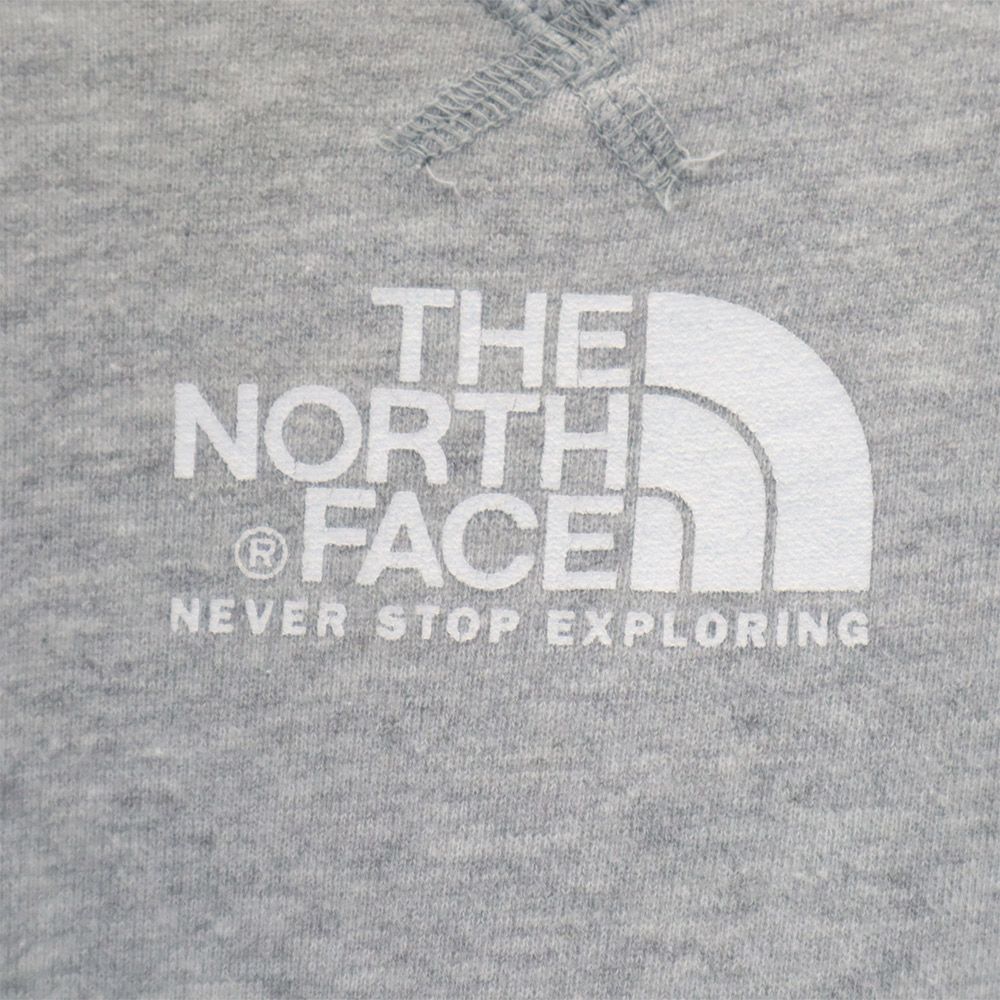 THE NORTH FACE ザノースフェイス NT61802X プリント 長袖 アウトドア トレーナー L グレー スウェット メンズ