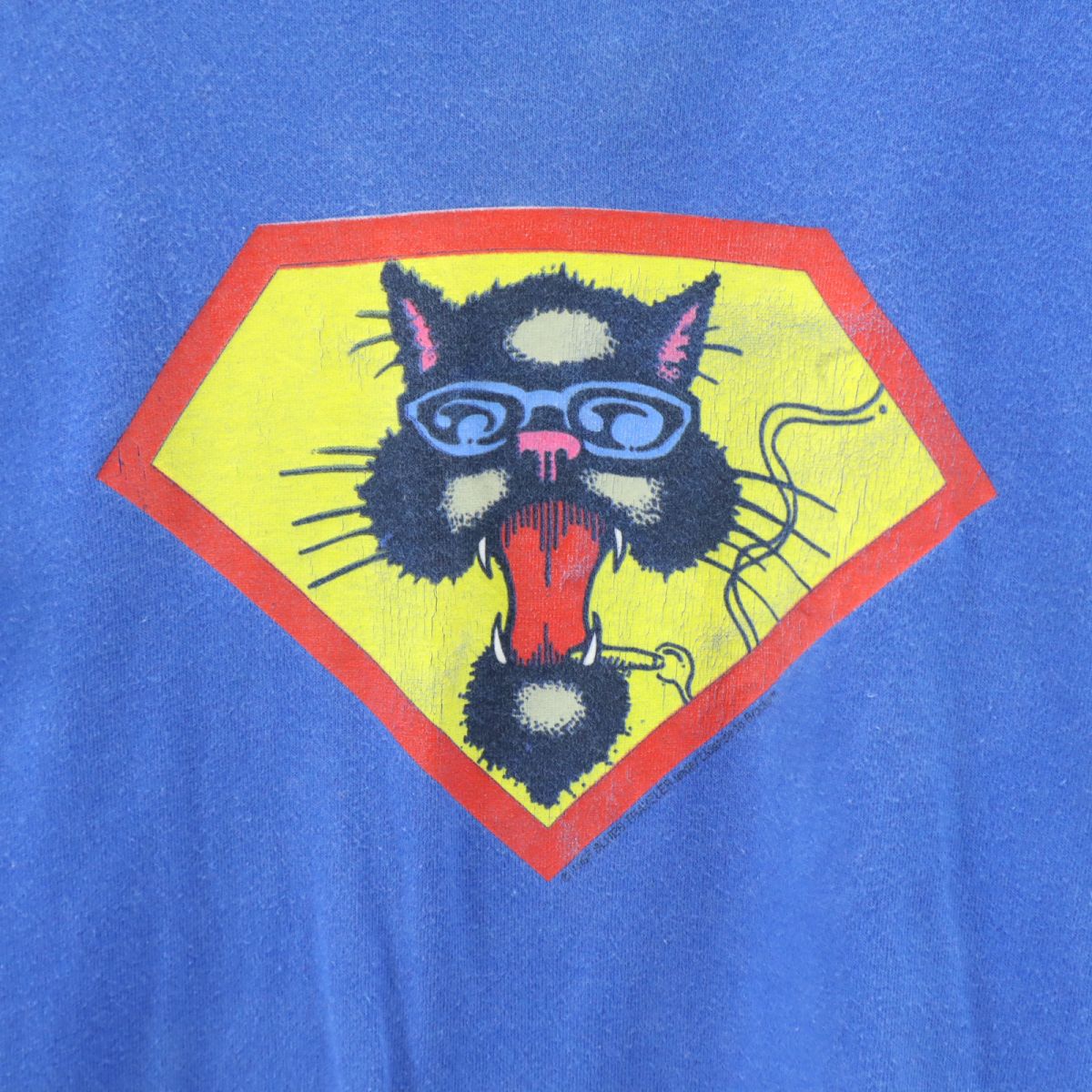 FRUIT OF THE LOOM フルーツオブザルーム 80s 90s USA製 オールド 半袖 Tシャツ L ブルー メンズ