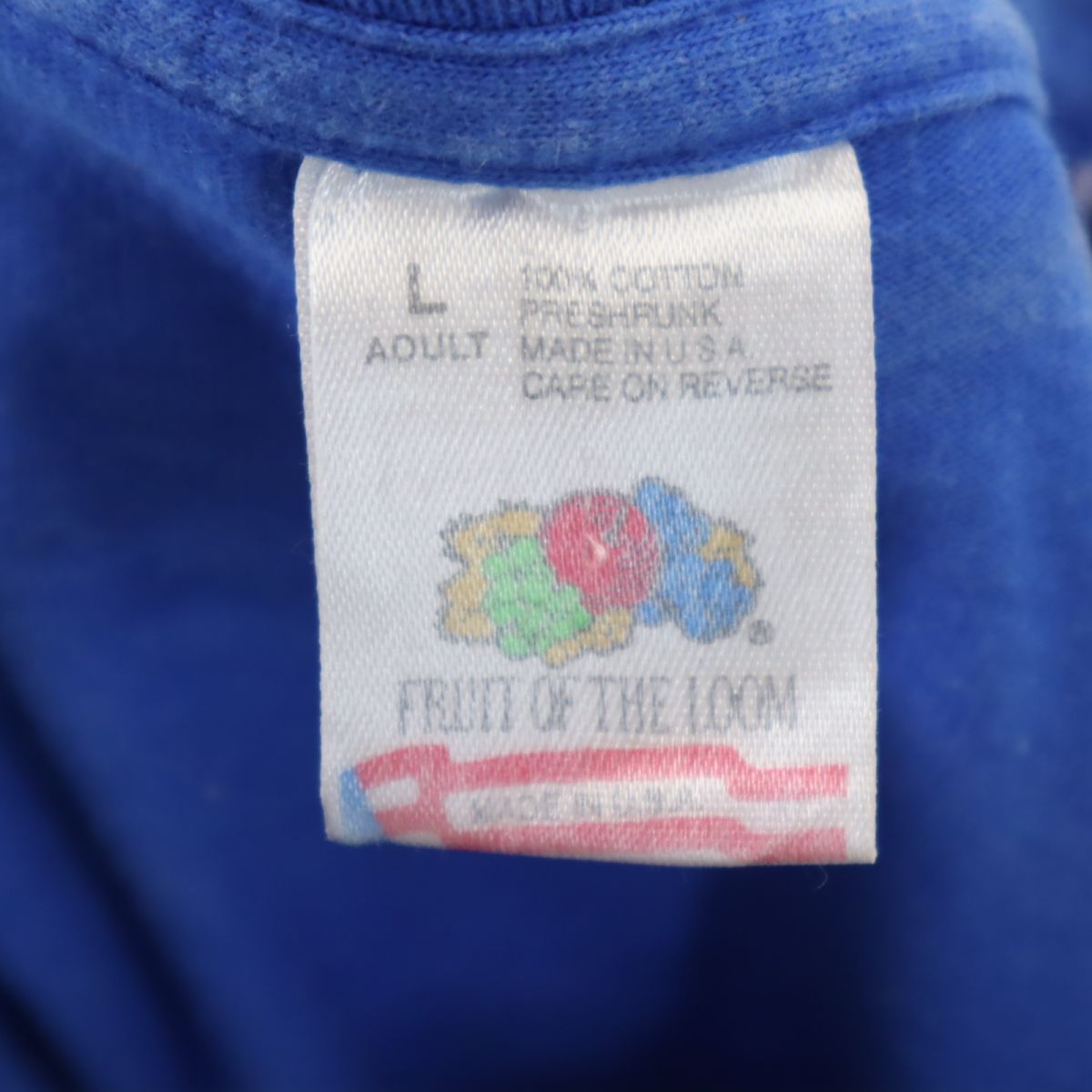 FRUIT OF THE LOOM フルーツオブザルーム 80s 90s USA製 オールド 半袖 Tシャツ L ブルー メンズ