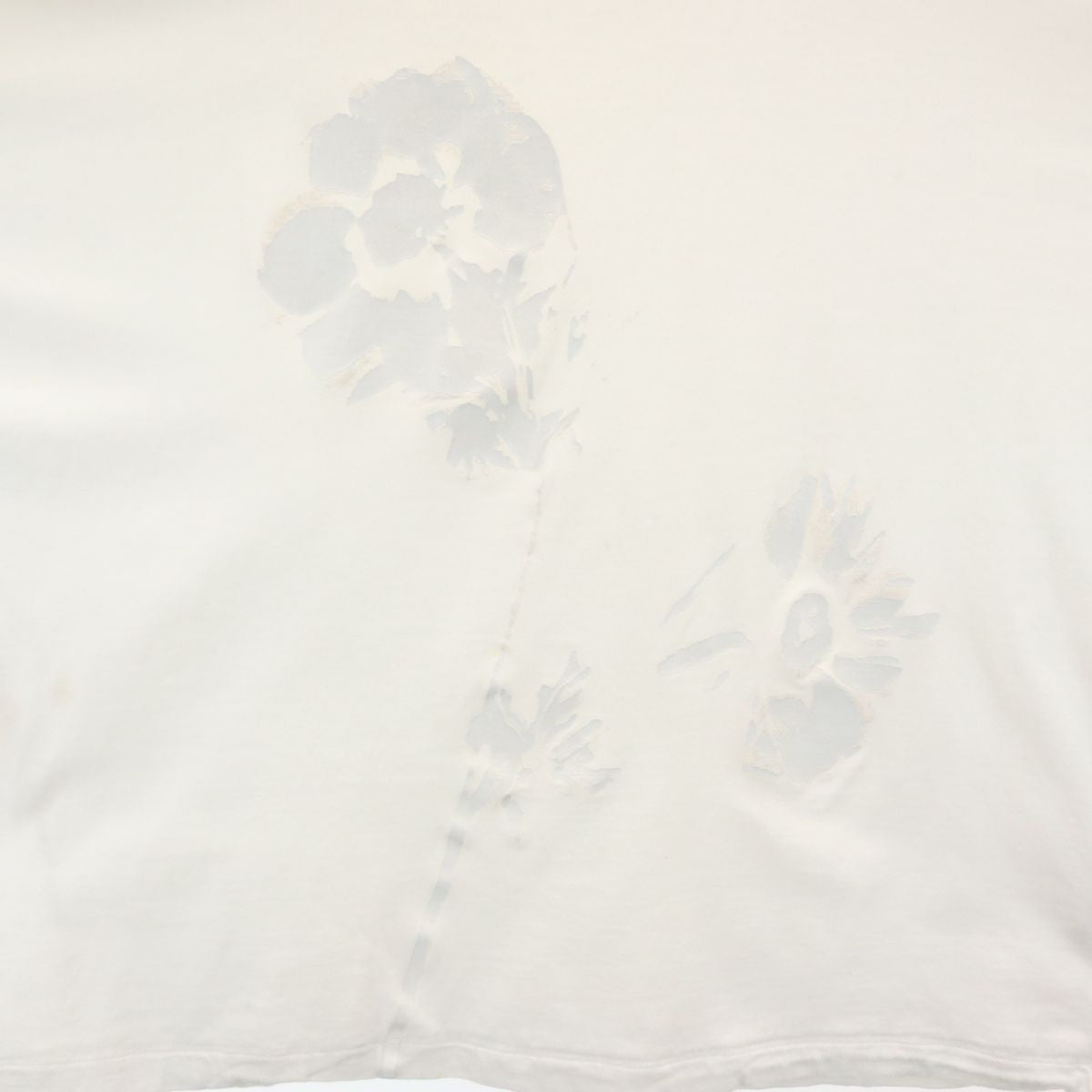 Y's ワイズ 日本製 半袖 Tシャツ 2 白 レディース