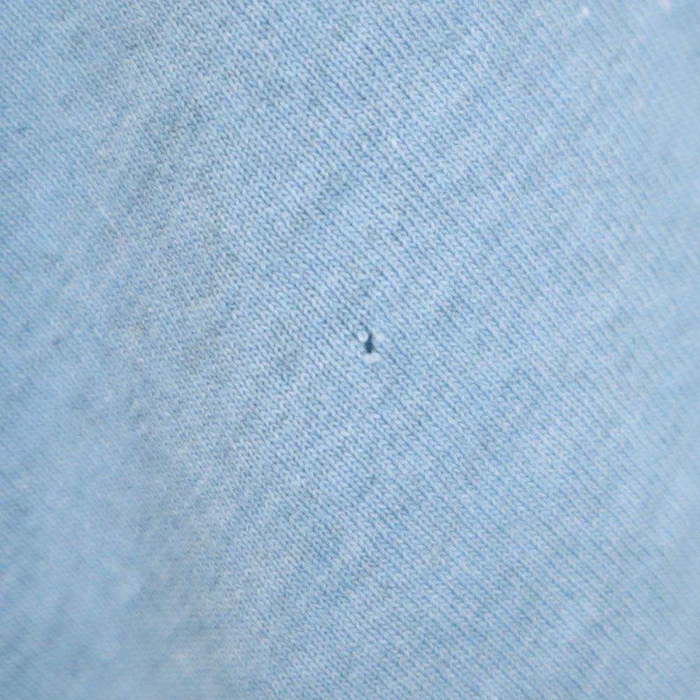 フルーツオブザルーム 90s BEST USA製 オールド プリント 半袖 Tシャツ L ブルー FRUIT OF THE LOOM メンズ