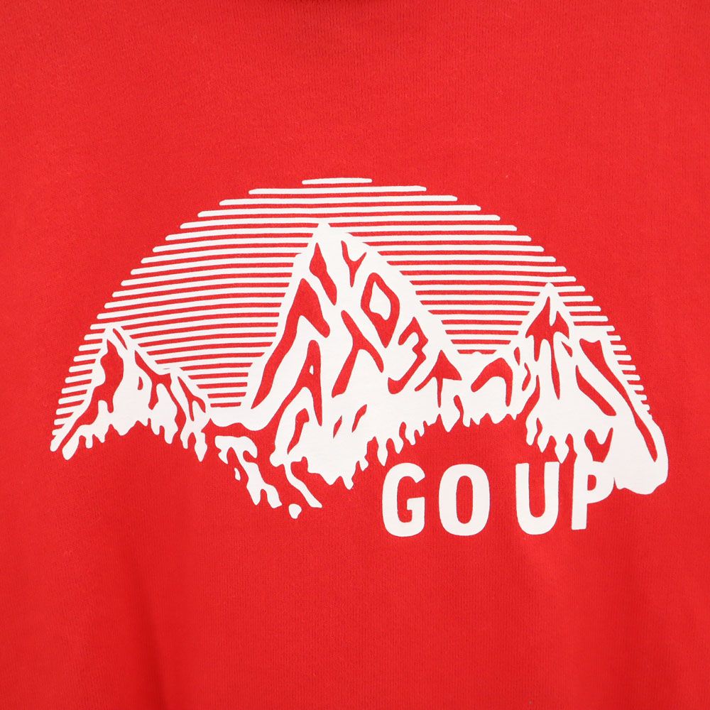 FAT エフエーティー プリント 半袖 Tシャツ FAT レッド系 メンズ