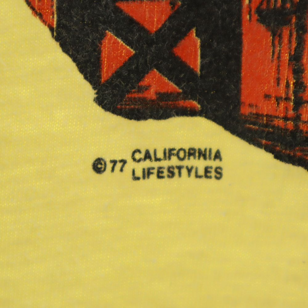 Hanes ヘインズ 70s USA製 ヴィンテージ プリント 半袖 Tシャツ M 38-40 イエロー メンズ