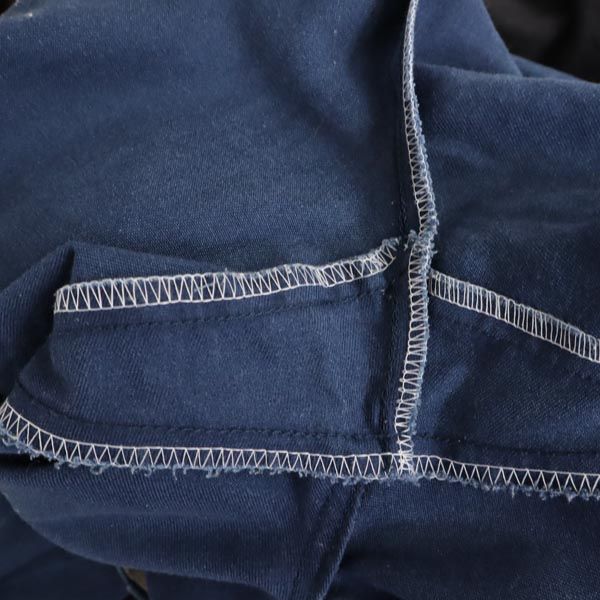 ディッキーズ ワークパンツ w31 ブルー系 Dickies メンズ