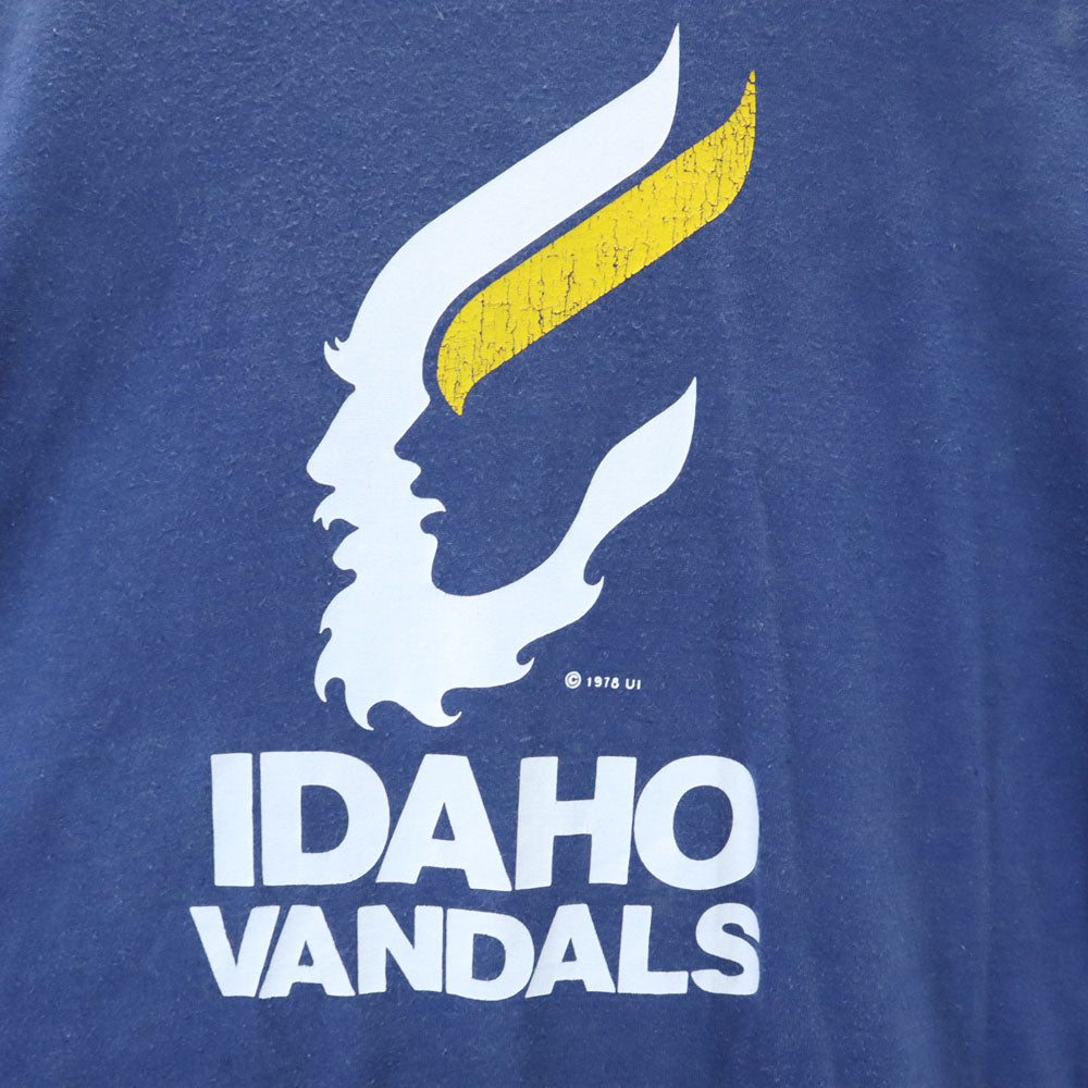 Hanes ヘインズ 70s USA製 ヴィンテージ オレンジタグ 両面プリント 半袖 Tシャツ M ブルー メンズ