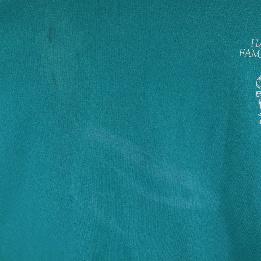 Hanes ヘインズ 80s 90s USA製 オールド 半袖 Tシャツ XXL ブルー系 ビッグサイズ メンズ