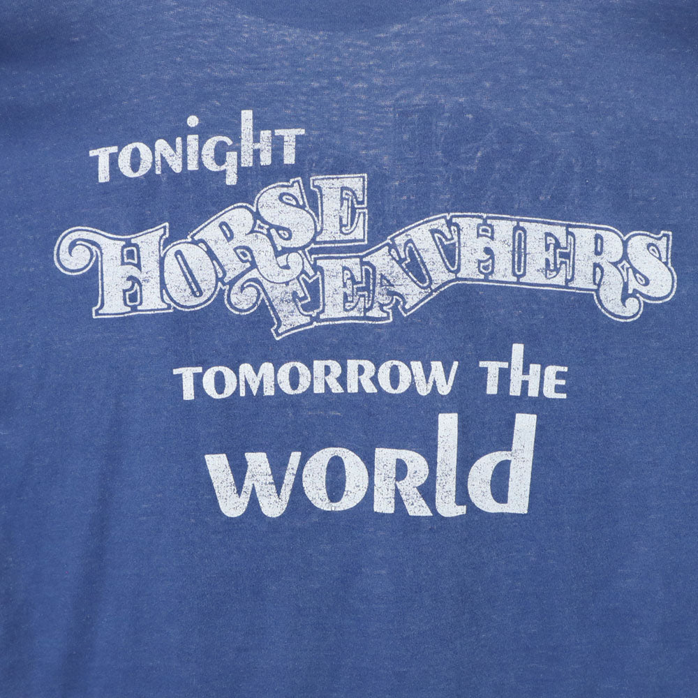 VINTAGE ヴィンテージ 70s 80s プリント 半袖 Tシャツ ブルー系 レディース