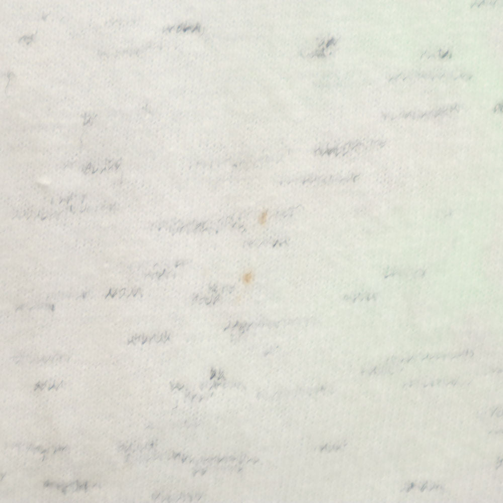 デルタ 90s USA製 オールド バックプリント HAWAIIAN LEGENDS 半袖 シングルステッチ Tシャツ L ホワイト DELTA サーフィン メンズ