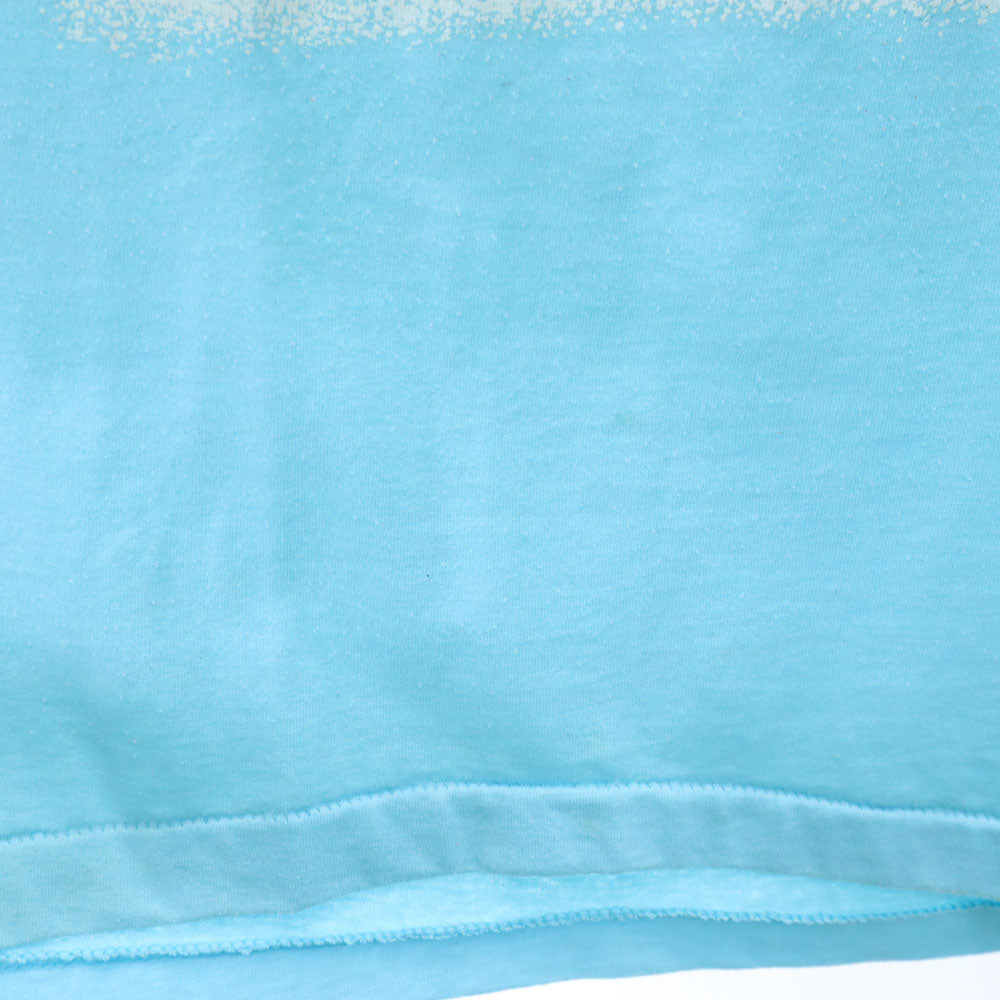 スクリーンスターズベスト 80s USA製 アニマルプリント 半袖 Tシャツ XL 水色 SCREEN STARS BEST シングルステッチ オールド ヴィンテージ メンズ