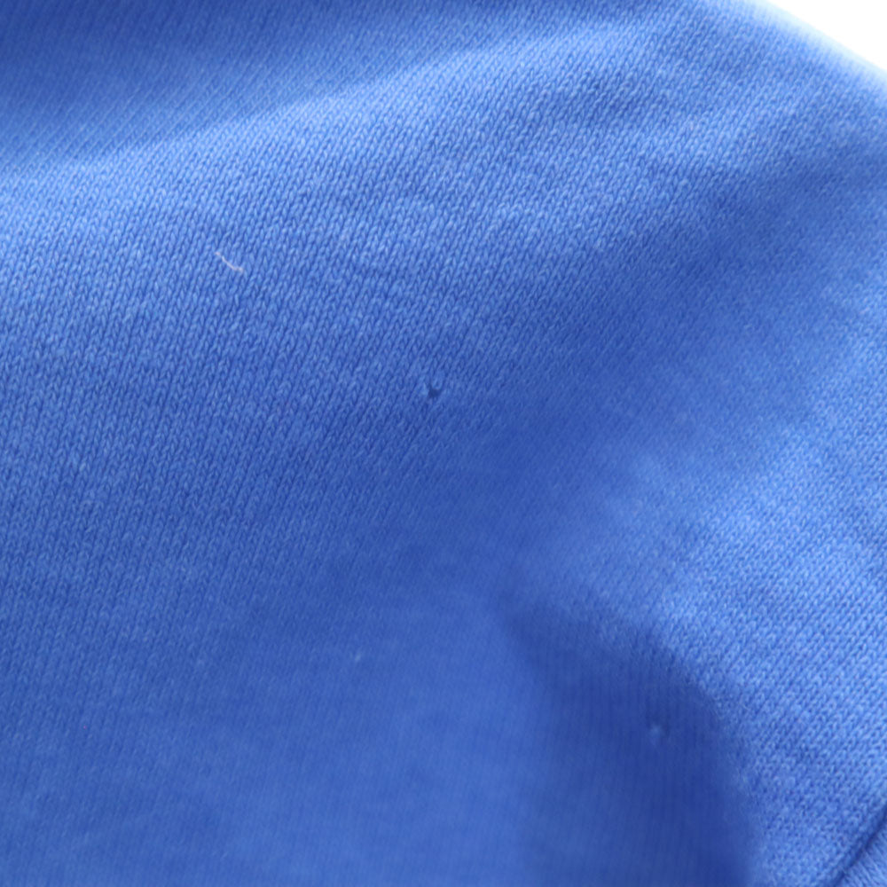 Hanes ヘインズ 90s プリント 半袖 シングルステッチ Tシャツ L ブルー系 オールド ヴィンテージ メンズ