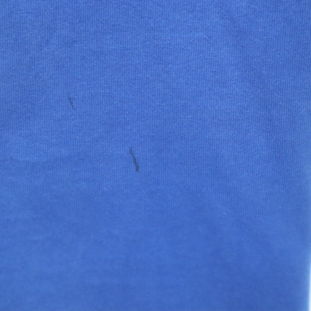 Hanes ヘインズ 90s プリント 半袖 シングルステッチ Tシャツ L ブルー系 オールド ヴィンテージ メンズ