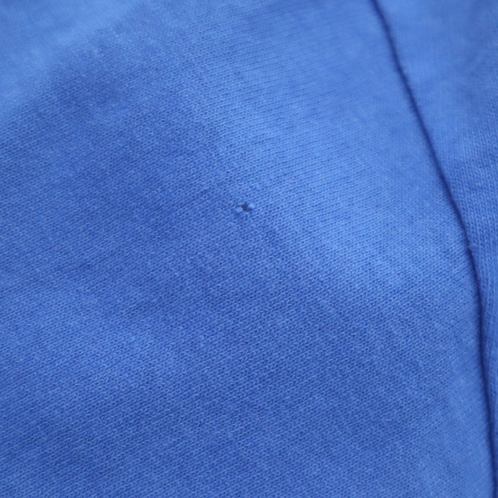 Hanes ヘインズ 90s プリント 半袖 シングルステッチ Tシャツ L ブルー系 オールド ヴィンテージ メンズ