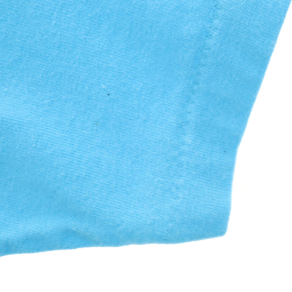 シグナル スポーツ 90s USA製 牛 半袖 LIFESTYLES Tシャツ L 水色 シングルステッチ オールド ヴィンテージ メンズ