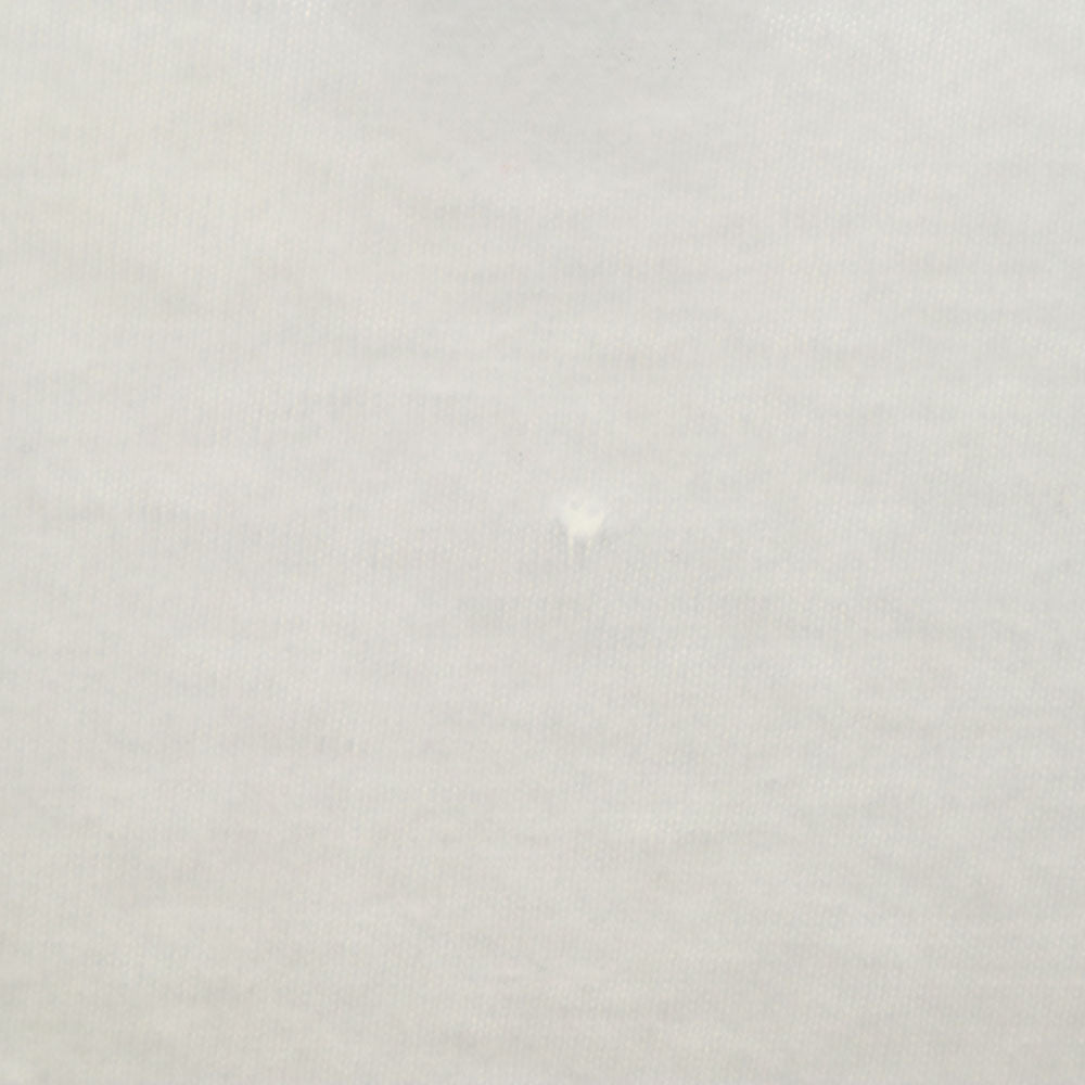 FRUIT OF THE LOOM フルーツオブザルーム 90s USA製 プリント 半袖 シングルステッチ Tシャツ XL ホワイト系 オールド ヴィンテージ メンズ