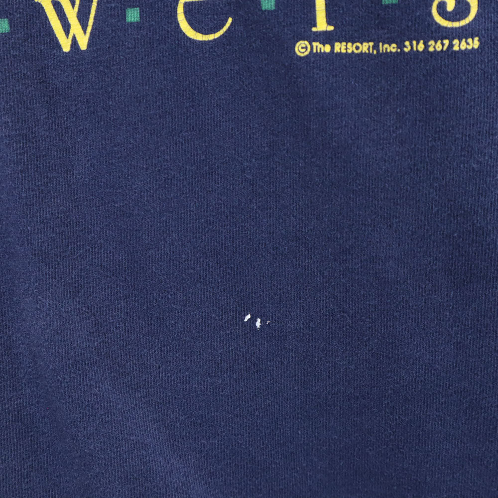 FRUIT OF THE LOOM フルーツオブザルーム 90s USA製 プリント 半袖 KANSAS ヒマワリ Tシャツ XL ネイビー系 オールド ヴィンテージ メンズ