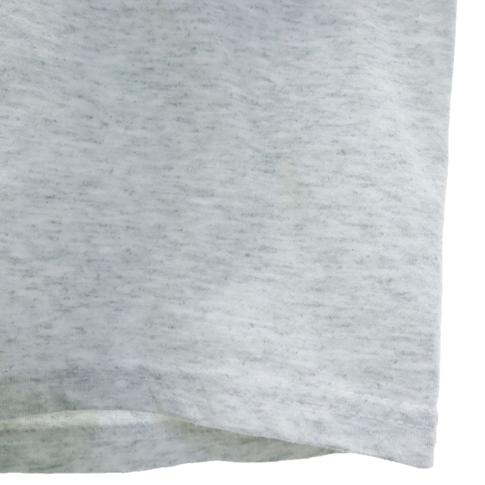 FRUIT OF THE LOOM フルーツオブザルーム 90s 00s サザン・パシフィック鉄道 半袖 Tシャツ XXL グレー BEST トレイン SOUTHERN PACIFIC ビッグサイズ オールド ヴィンテージ メンズ