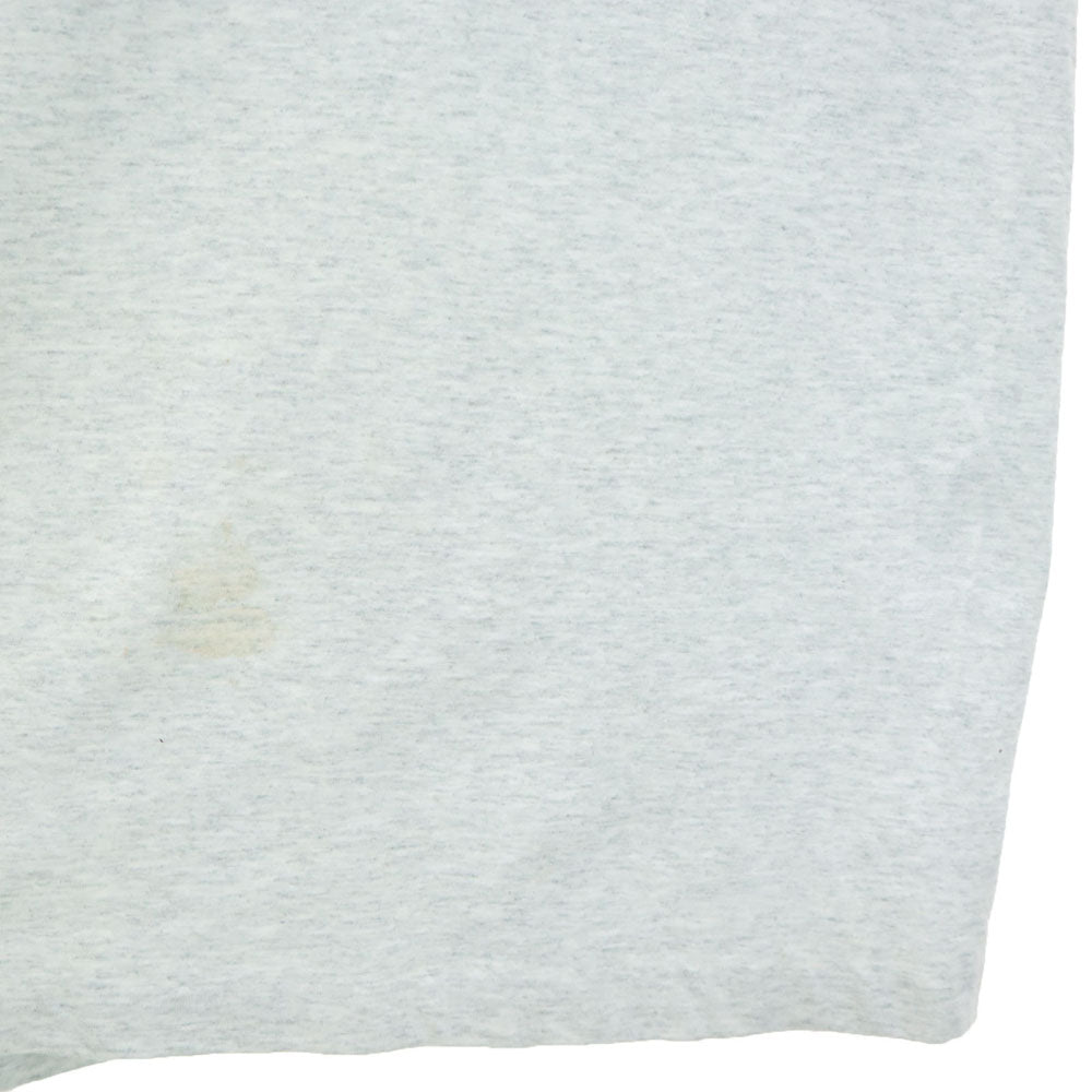 FRUIT OF THE LOOM フルーツオブザルーム 90s USA製 CSC 半袖 Tシャツ XL グレー BEST シングルステッチ オールド ヴィンテージ メンズ