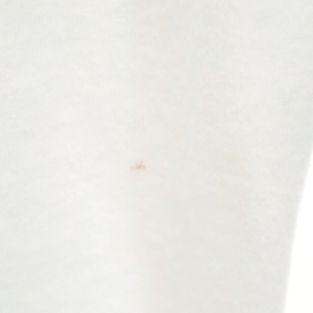 Hanes ヘインズ 90s SALESIANUM SWIMMING 半袖 シングルステッチ Tシャツ L ホワイト オールド ヴィンテージ メンズ